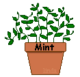 mint